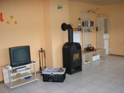 WZ Kamin