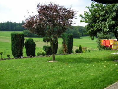 Garten 2